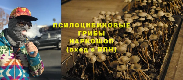 винт Алексеевка