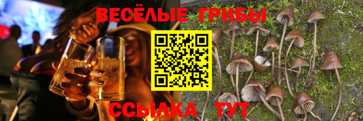 Галлюциногенные грибы Psilocybine cubensis Ревда