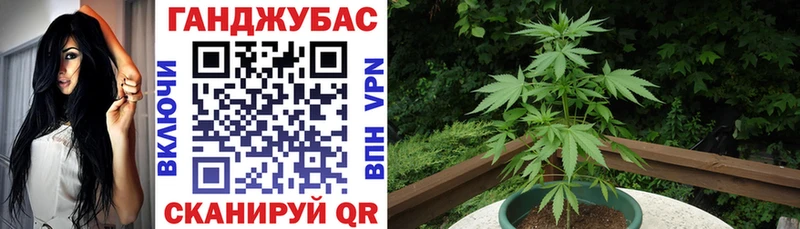 наркота  Ревда  Марихуана планчик 
